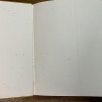 パウル・ヴンダーリッヒ版画作品集