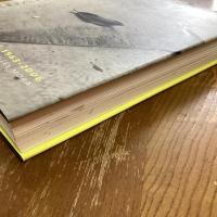 Bernard Plossu   Retrospective 1963-2006