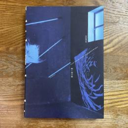 石田尚志　絵と窓の間