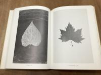 Joseph Beuys   Zeichnungen Tekeningen Drawings