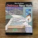 Delirious New York