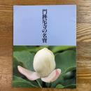 門跡尼寺の名宝
