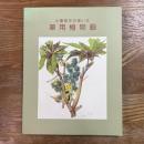 小磯良平の描いた薬用植物画