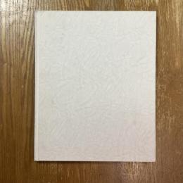 イコンタ物語　荒木経惟