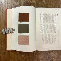 日本古代の色彩と染