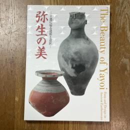 弥生の美　土器に宿る造形と意匠