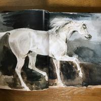 Le Bestiaire D'Eugene Delacroix