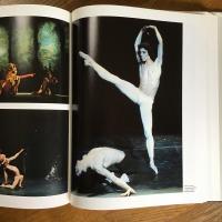 Maurice Bejart par Maurice Bejart　ベジャールによるベジャール　仏文