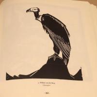 Die Fruhzeit des modernen Holzschnitts　近代初期の木版画　独文