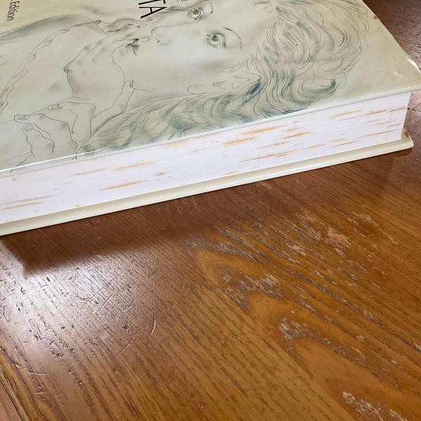 k*n様 Foujita アートブック2冊組 Leonard Tsuguharu Foujita volume 2(Sylvie et Dominique