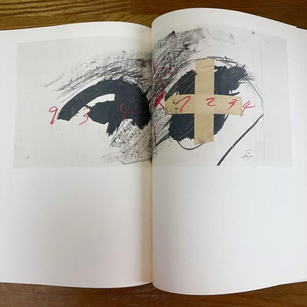 Antoni Tapies Signes et Structures(Werner Schmalenbach