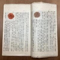 染草　創刊号・第二号　2冊