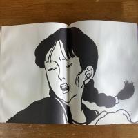 緋匡　あかいはこ　佐伯俊男彩色画集
