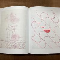 Louise Bourgeois. The Insomnia Drawings.  2 vols