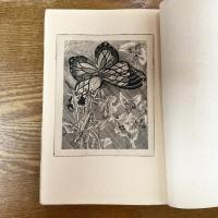 書窓　第7巻第4号　通巻42号　特輯・学芸随筆