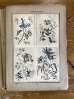 Fleurs Oiseaux et Fantaisies par J. Pillement 1719-1808