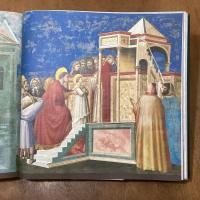 Giotto  Architect of Form and Color
