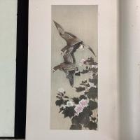 応挙名画譜