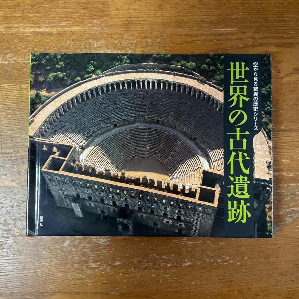 エゴン・シーレ画集 1890-1918(エルヴィン・ミッチ 著 坂崎乙郎