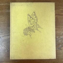 Butterflies and moths