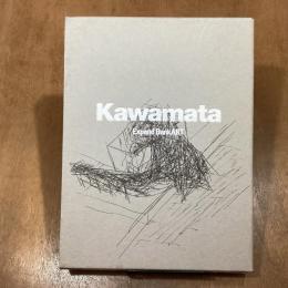 Kawamata   Plan for Expand BankART  3冊