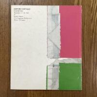 Shinro Ohtake Exhibition   December 13 - 28, 1982