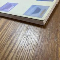 徳岡神泉展　生誕100年記念