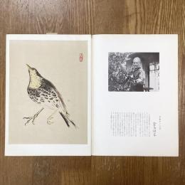 現代作家デッサン　金島桂華