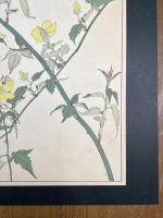 非水百花譜の内　山吹　やまぶき