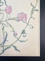非水百花譜の内　撫子　なでしこ