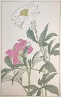 非水百花譜の内　芍薬　しゃくやく