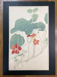 非水百花譜の内　凌霄葉蓮　のうぜんはれん