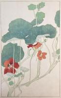 非水百花譜の内　凌霄葉蓮　のうぜんはれん