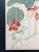 非水百花譜の内　凌霄葉蓮　のうぜんはれん