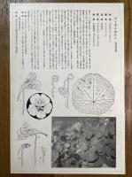 非水百花譜の内　凌霄葉蓮　のうぜんはれん