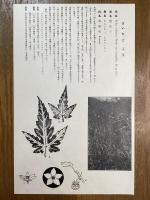 非水百花譜の内　木苺　きいちご