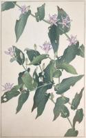 非水百花譜の内　ほととぎす