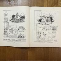 Chicago tribune book of homes
