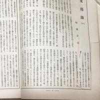 アフィッシュ　第3年第1号