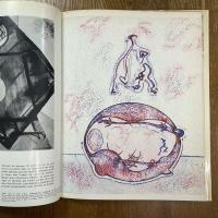 Hommage a Max Ernst. XXe siecle Numero special