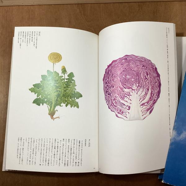 大橋正の博物誌 / 古本、中古本、古書籍の通販は「日本の古本屋