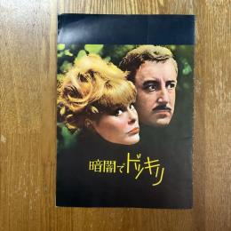 暗闇でドッキリ　映画パンフレット
