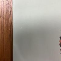 酒井抱一 : 江戸情緒の精華 : 特別展