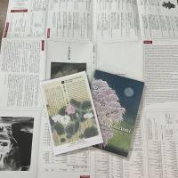 小泉淳作展　生誕一〇〇年記念