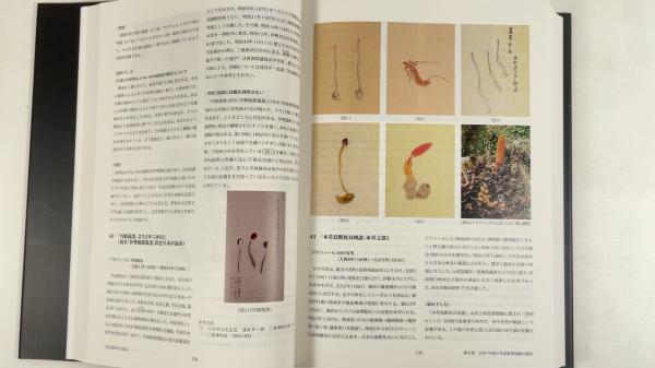 冬虫夏草の文化誌 / 古本、中古本、古書籍の通販は「日本の古本屋