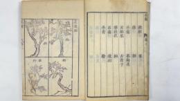秘伝花鏡 全6冊