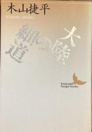 大陸の細道
（講談社文芸文庫）