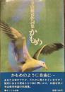 寺山修司作詞集　かもめ