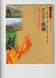 季刊自然と文化　2004年　アジアの焼畑〈焼畑は環境破壊か？〉