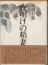 夜明けの稲妻